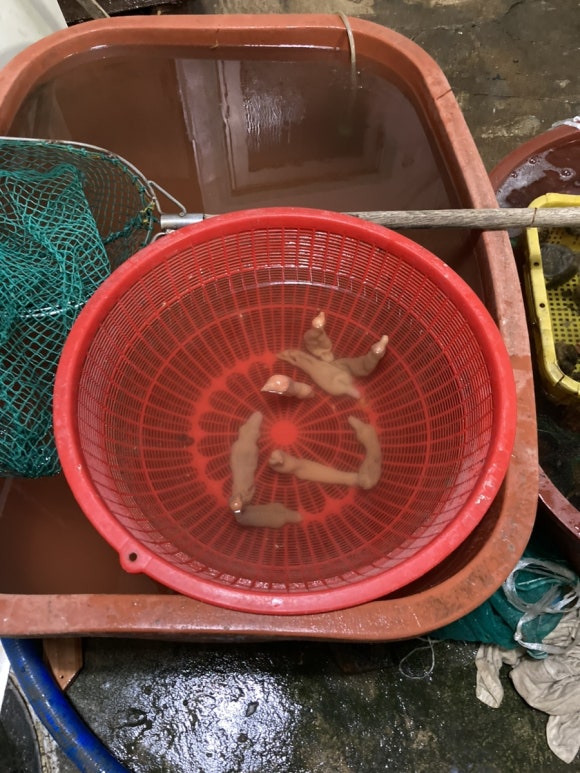 강바다횟집 이미지