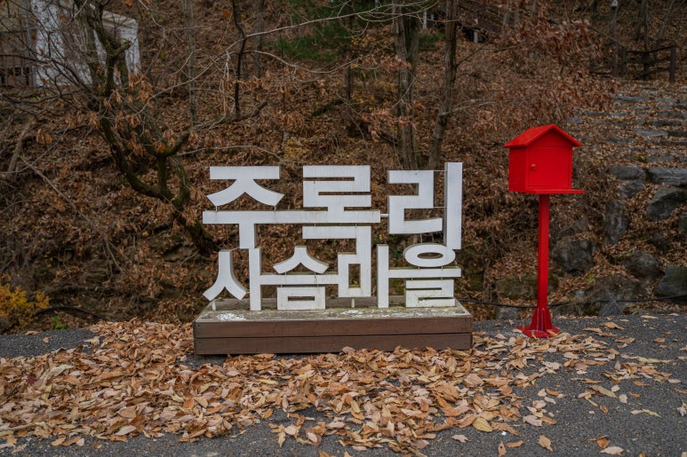 해월여행사 이미지