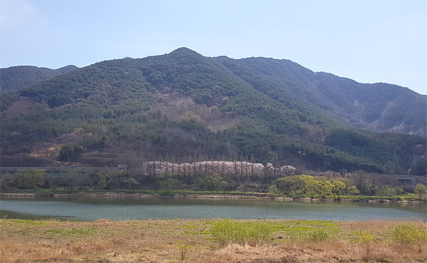 의령나루캠프 이미지