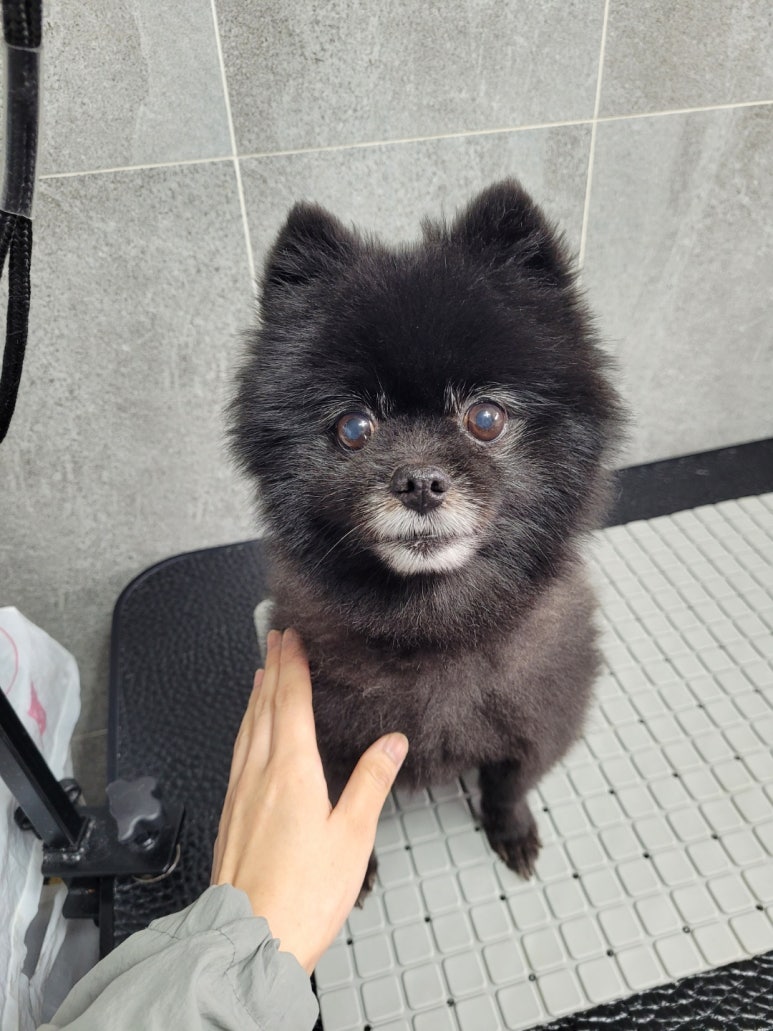 이뿌 미용실 이미지