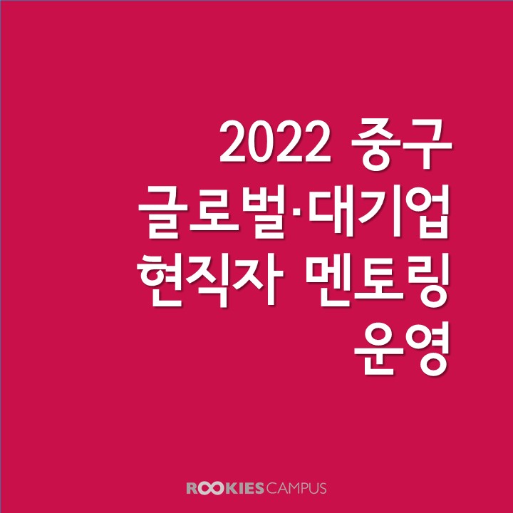 와이즈레인 이미지