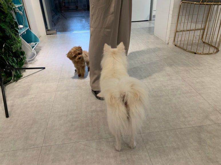 선릉위드피아노학원 이미지