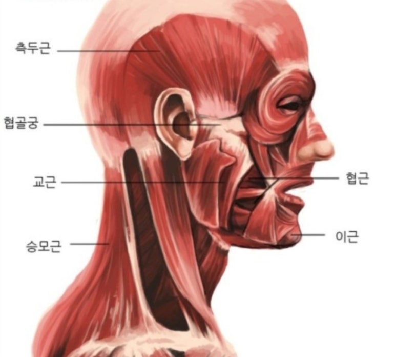 휴두피n뷰티센터 이미지