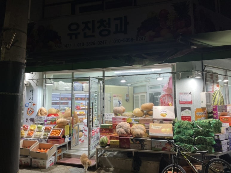 신흥청과 이미지
