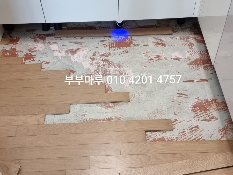 시티마루 이미지