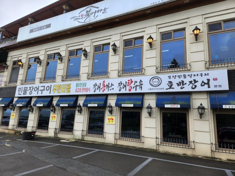 호반장어 이미지