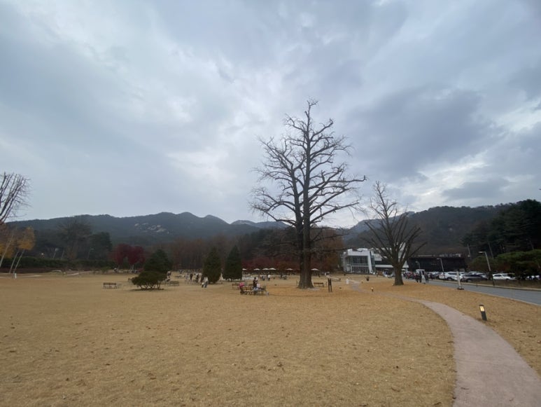 파크프리베 이미지