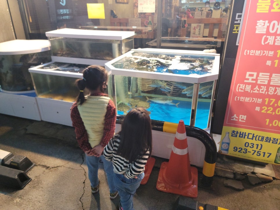 참바다365 이미지