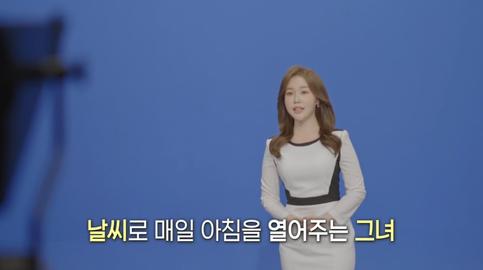 핑크여우 이미지