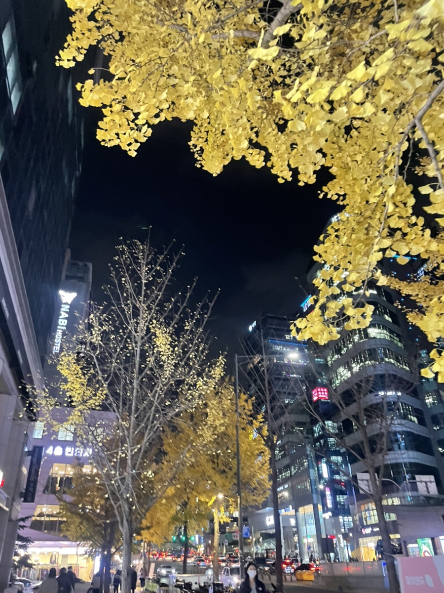 디자인알았대 이미지