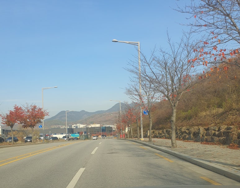 에스씨엠주 이미지