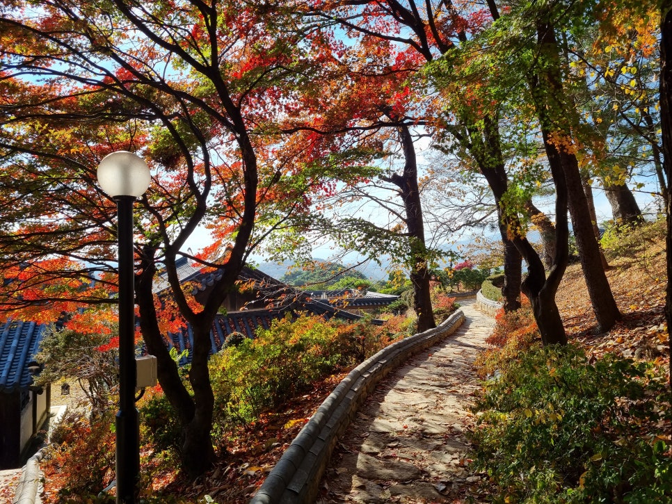 웰니스마트 이미지