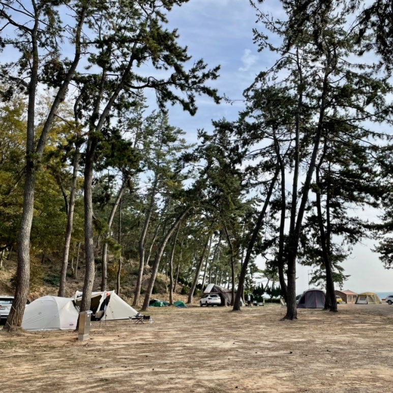 홀통183캠핑장 이미지