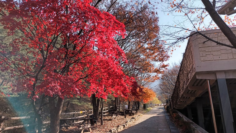 강산화원 이미지
