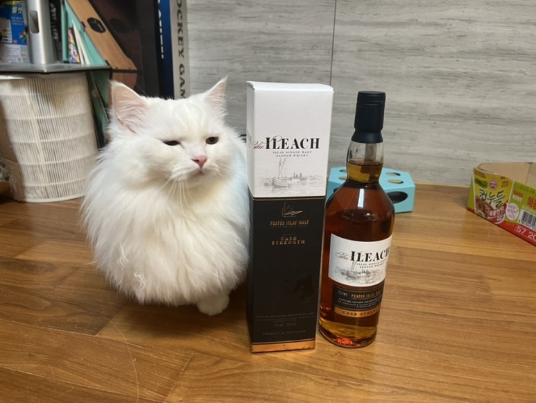 가자주류일산 이미지
