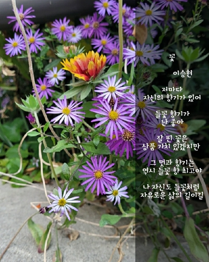 땅과사람이야기 이미지