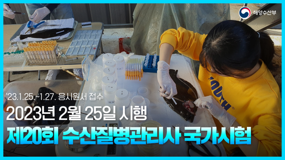 20회수산 이미지
