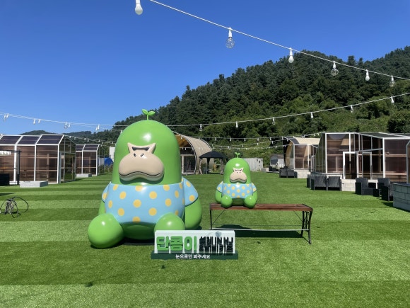 삐삐콩 이미지