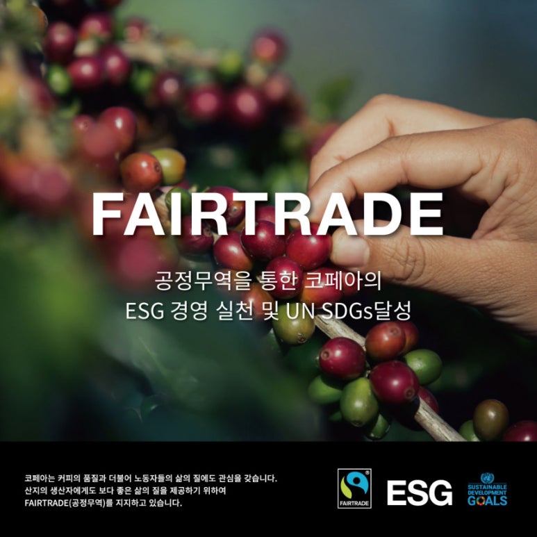코페아커피 이미지