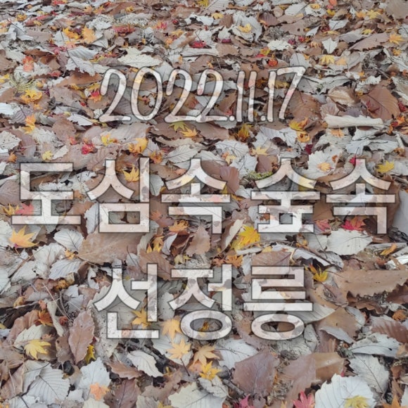 수능선배스터디카페 이미지