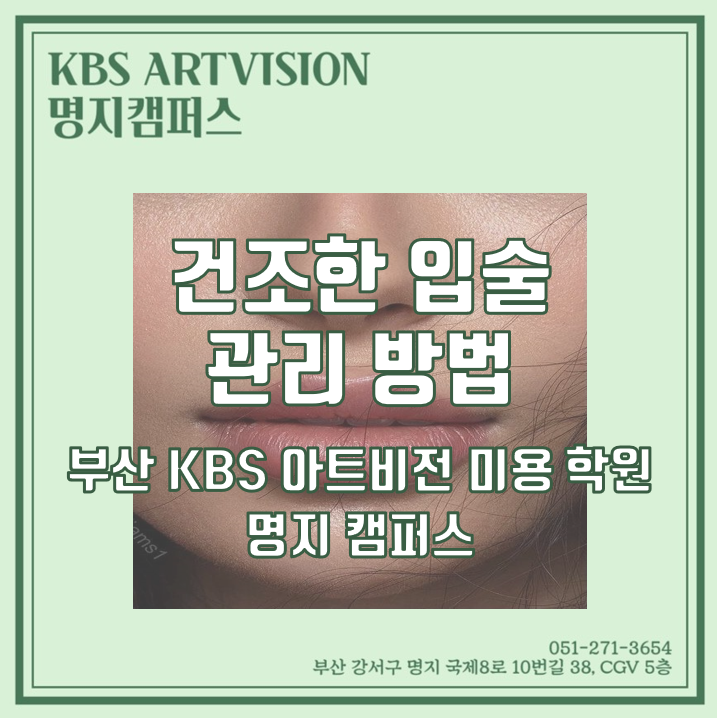 케이비에스아트비전주 이미지