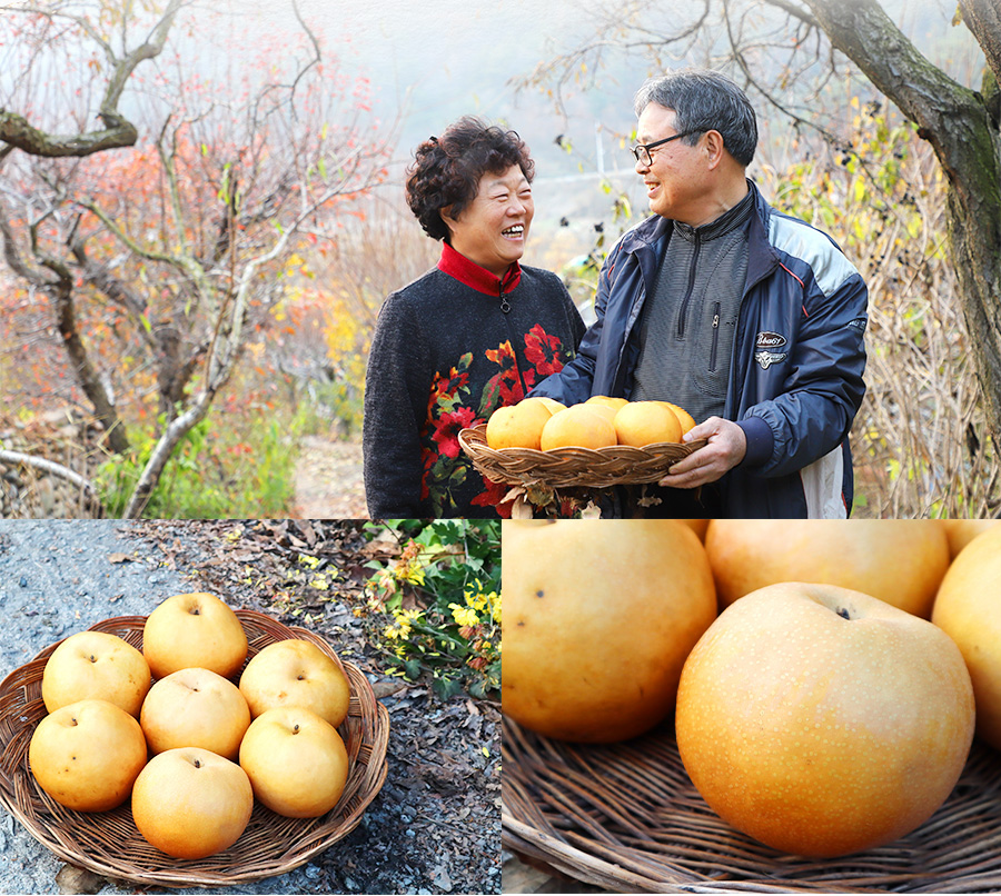 배나무골농원 이미지