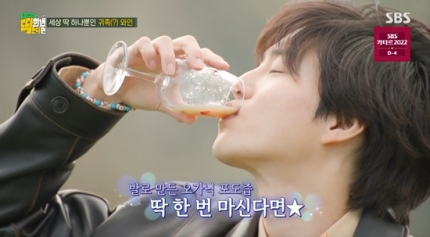 청춘포도 이미지
