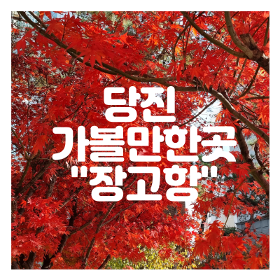 홍s컴퍼니 이미지