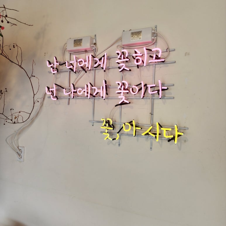 꽃마시다 이미지