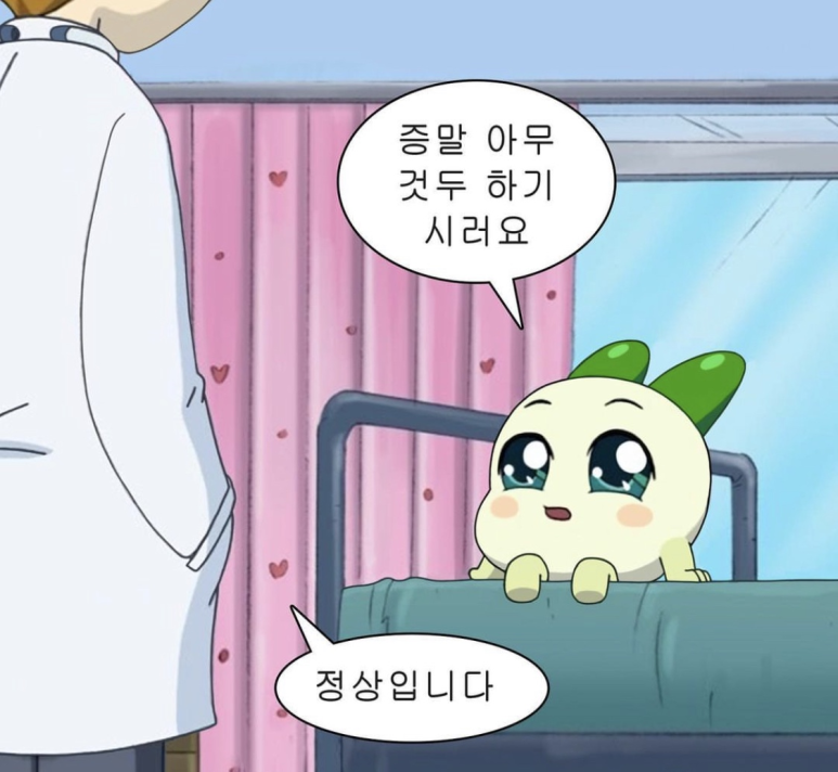 베이프큐 이미지
