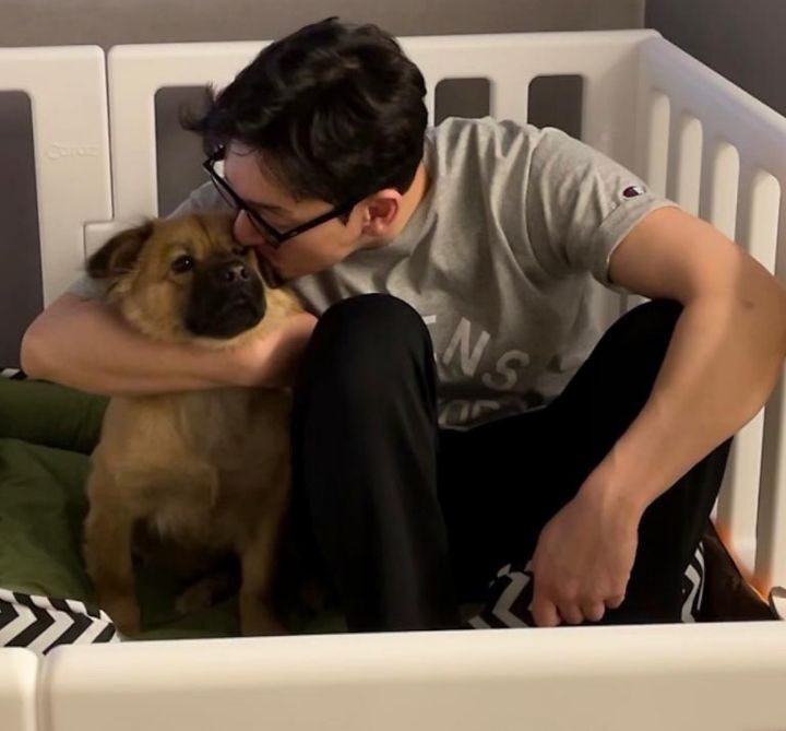 샤론의상실 이미지