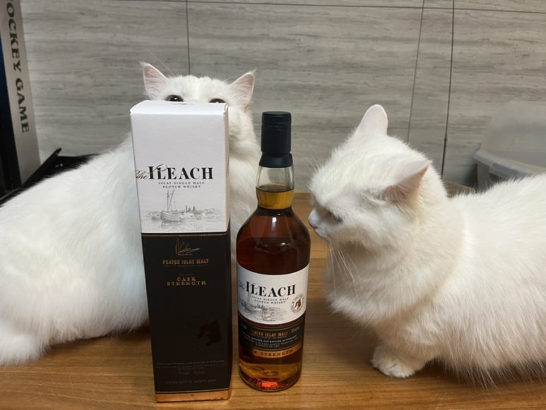 가자주류일산 이미지