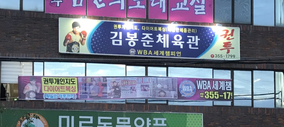 곰체육관 이미지