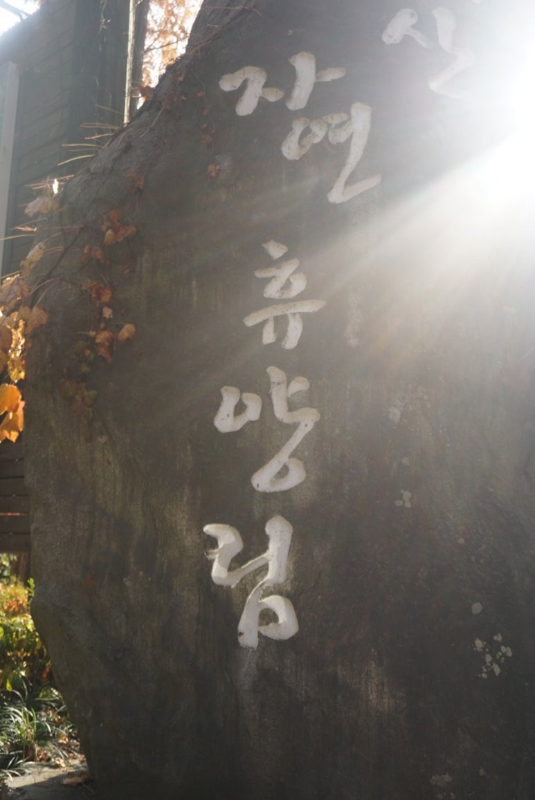 으뜸이네1991 이미지