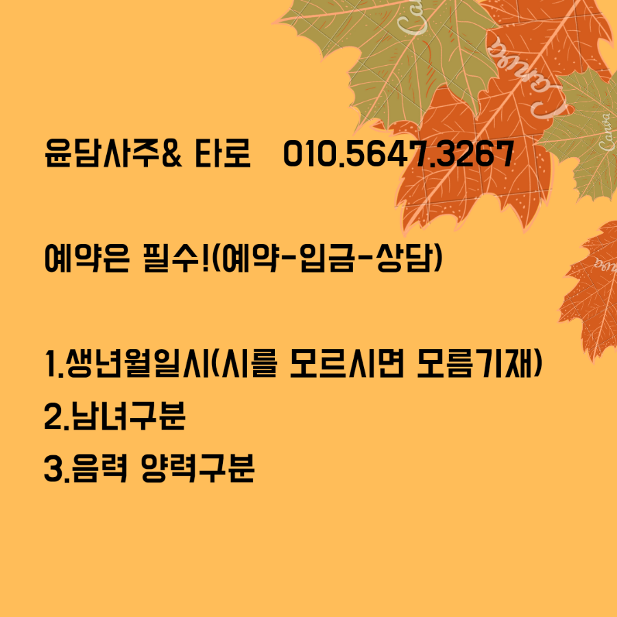 한국사주타로협회 이미지