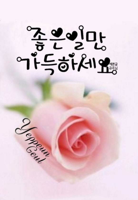 너에게, 꽃이다 이미지
