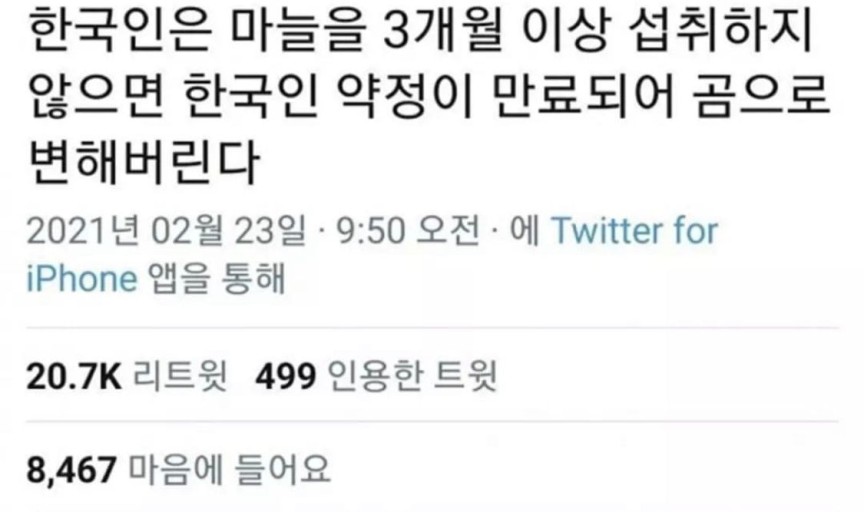 최대패 이미지