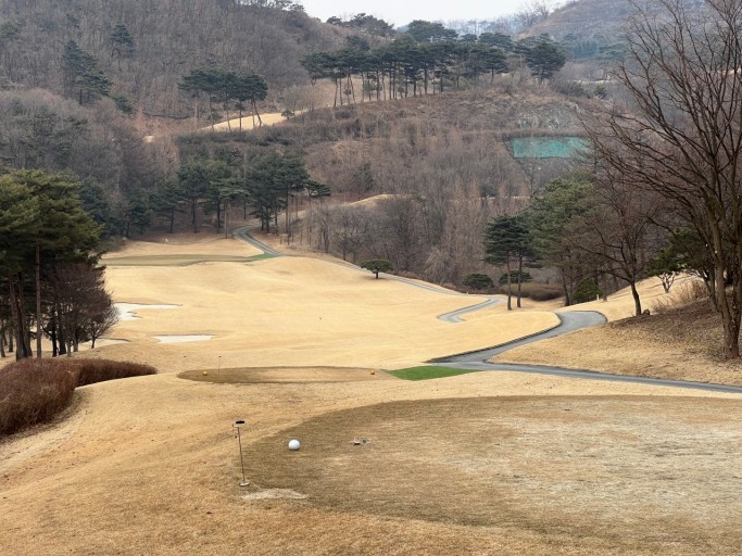 시지아카데미 이미지