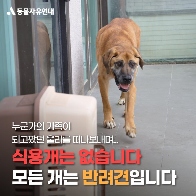 다정한농장 이미지