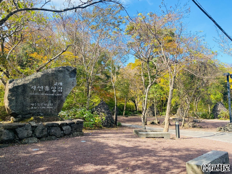 교래자연휴양림 이미지