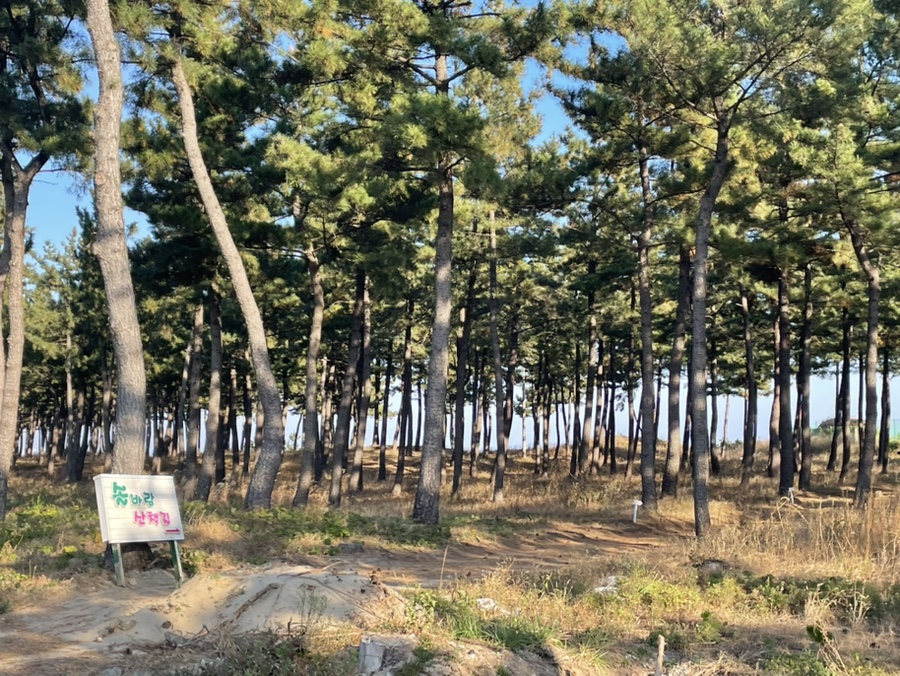 일출식당 이미지