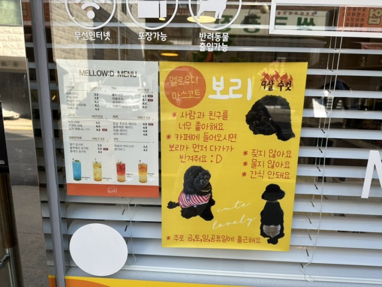 멜로우디(MELLOW:D) 이미지