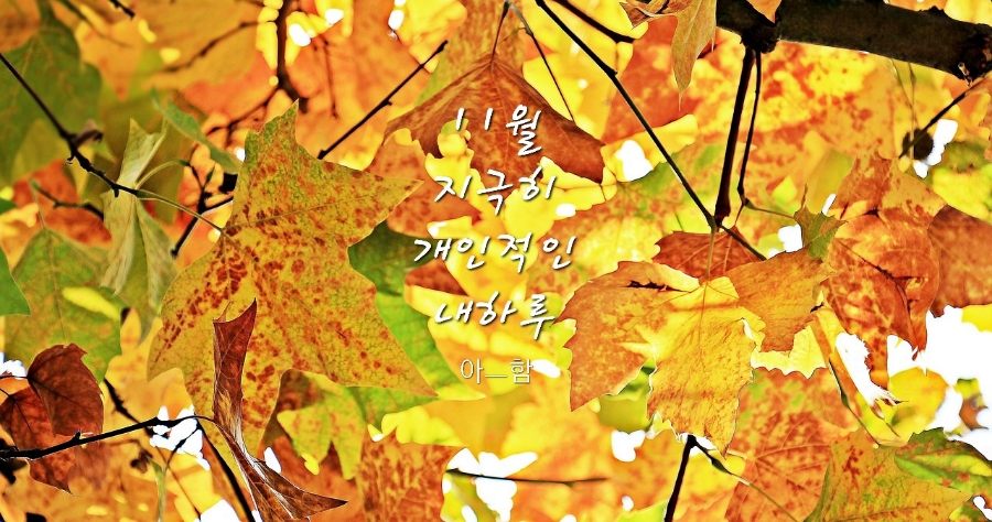 하이워터 이미지