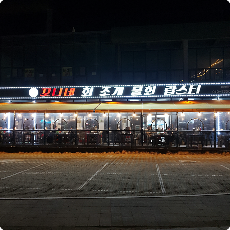 꼬니네회조개 이미지