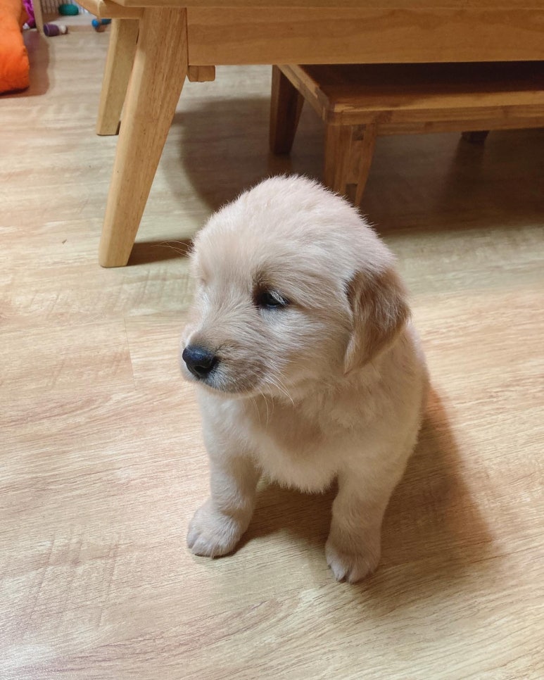 천의바람농장 이미지