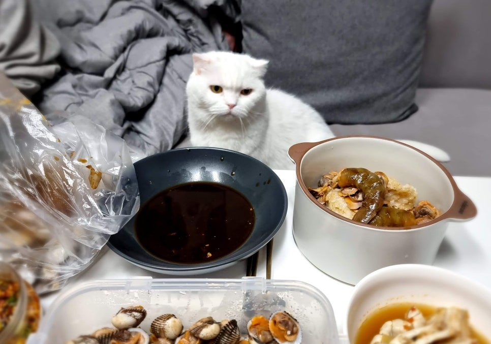 호맥 수영점 이미지