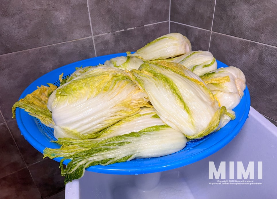 참살이 농산물 이미지