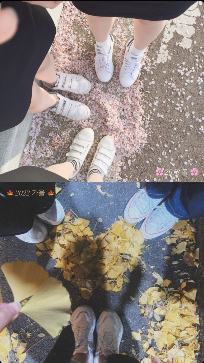 숭찌 이미지