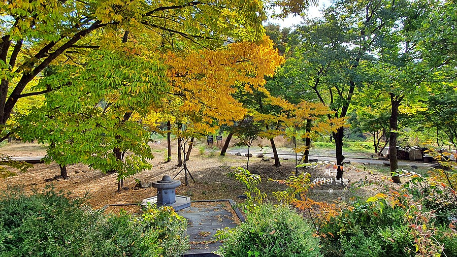 빨간집야영장 이미지