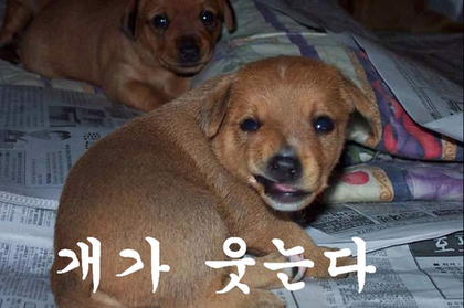 나도 이미지